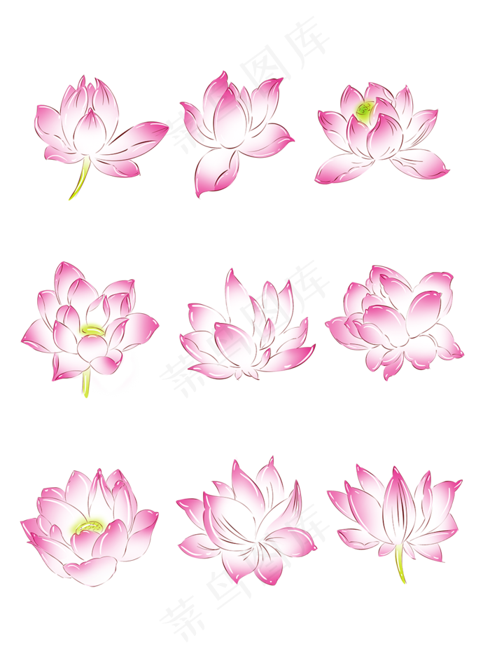 手绘花小清新植物粉色荷花