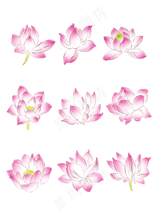 手绘花小清新植物粉色荷花