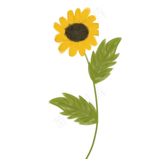 向日葵手绘设计图