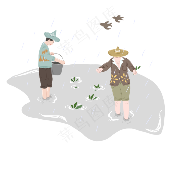 谷雨插秧的小男孩