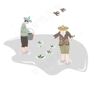 谷雨插秧的小男孩