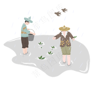 谷雨插秧的小男孩