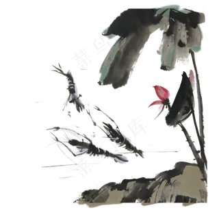 水墨虾中国风手绘