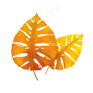 手绘水彩黄色秋叶植物叶子芭蕉叶,免抠元素