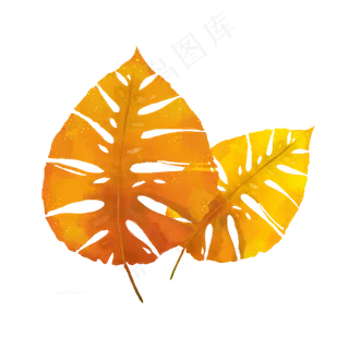 手绘水彩黄色秋叶植物叶子芭蕉叶,免抠元素