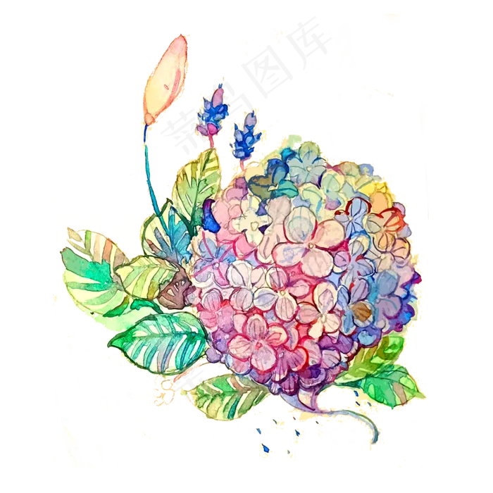 *花绣球唯美彩虹缤纷PNG(3000X3000(DPI:300))psd模版下载