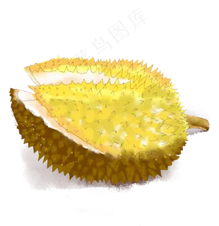 水彩小清新水果土黄色榴莲 水彩小清新水果土黄色榴莲