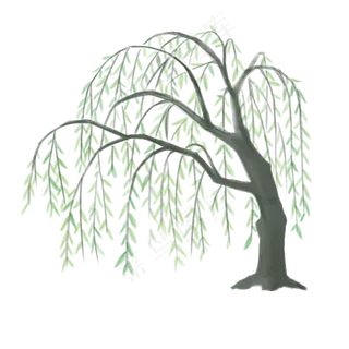 卡通发芽柳树免扣,免抠元素