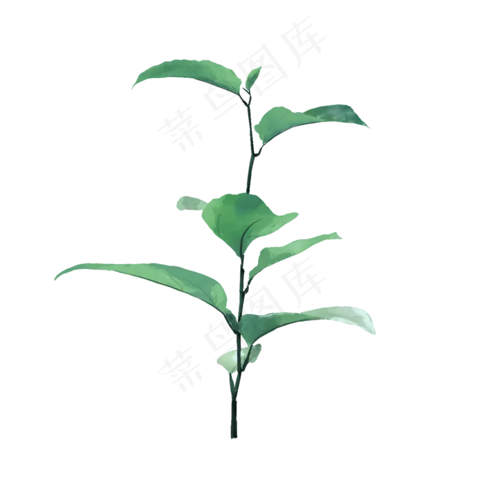 春天新长出的小树苗小枝丫,免抠元素