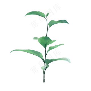 春天新长出的小树苗小枝丫,免抠元素