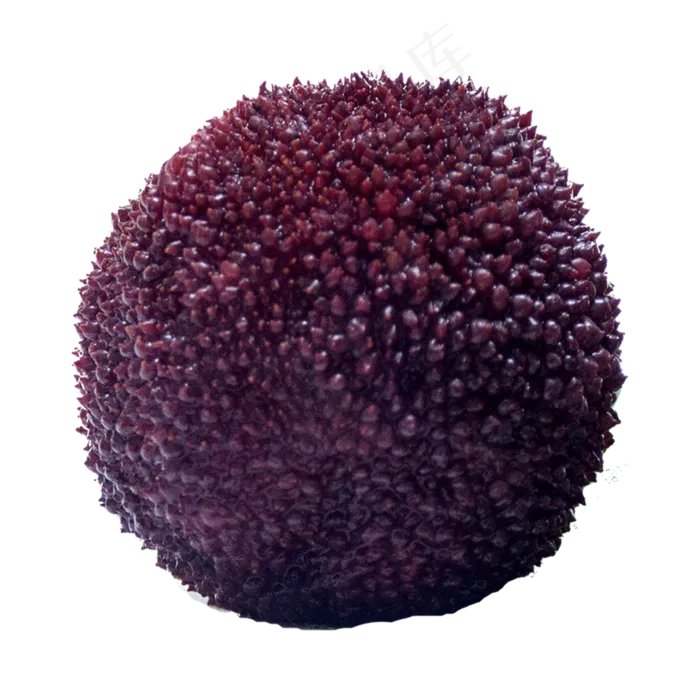 新鲜杨梅(2000X2000(DPI:300))psd模版下载