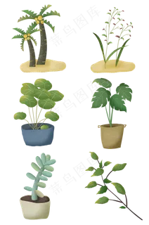 春天植物叶子椰树植被自然