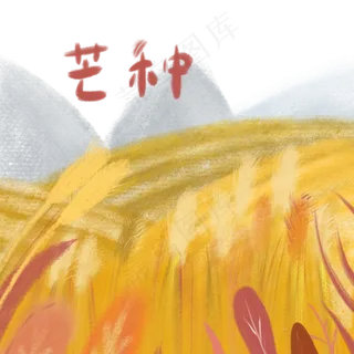 二十四节气手绘芒种麦田