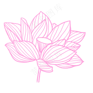 粉色荷花花朵装饰素材设计