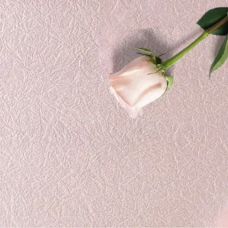 褶皱春天桃花纹理主图