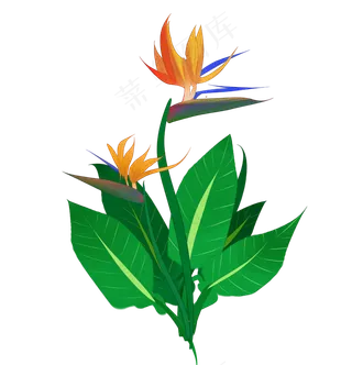 中国风手绘花卉鹤望兰