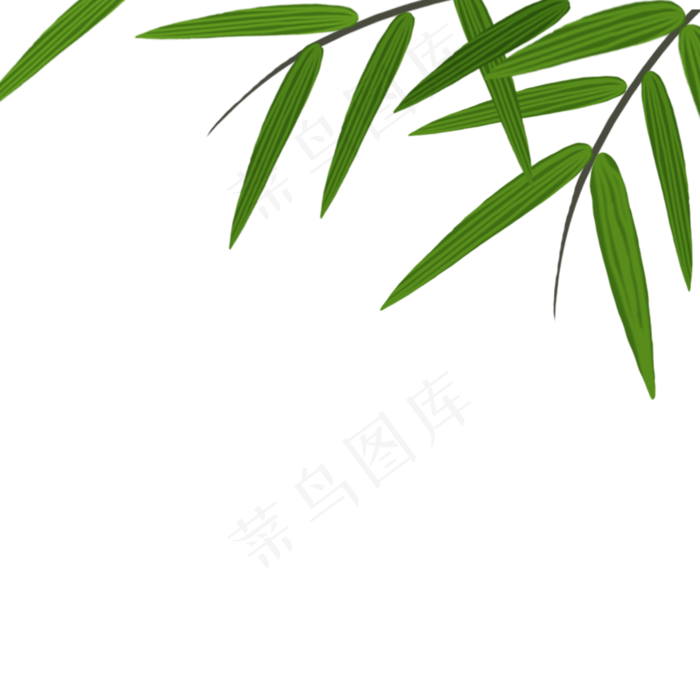 绿色的柳树叶子