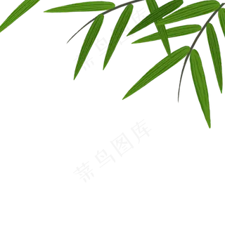 绿色的柳树叶子 绿色的柳树叶子