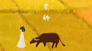 芒种黄色麦田里的女孩和牛