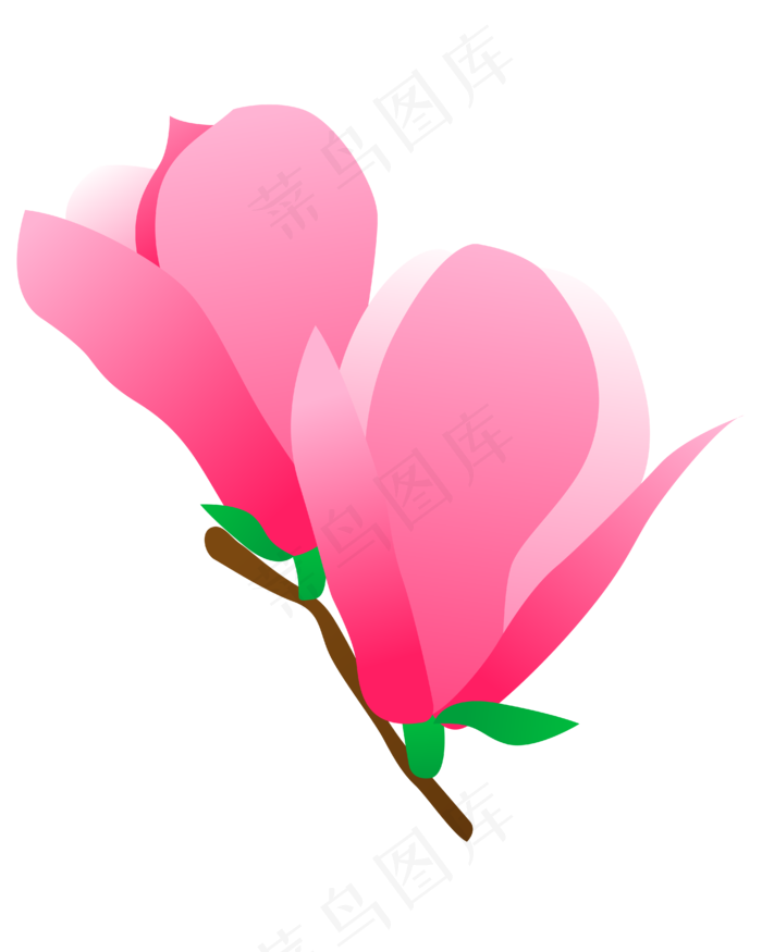 矢量免扣卡通玉兰花,免抠元素