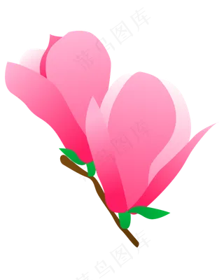 矢量免扣卡通玉兰花,免抠元素