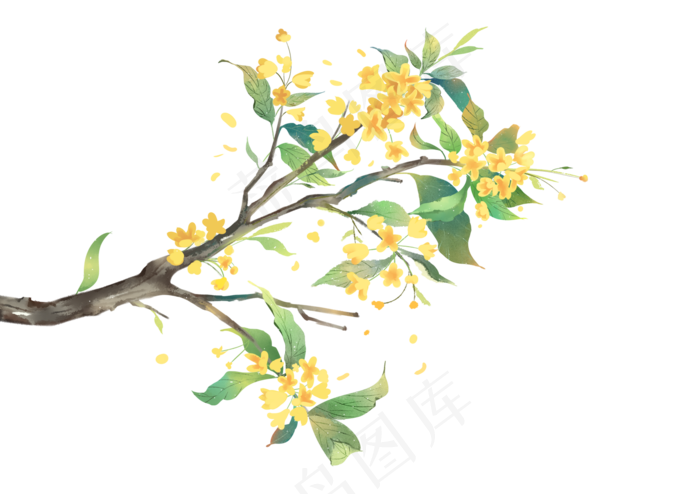 盛开桂花(2000X1412(DPI:300))psd模版下载