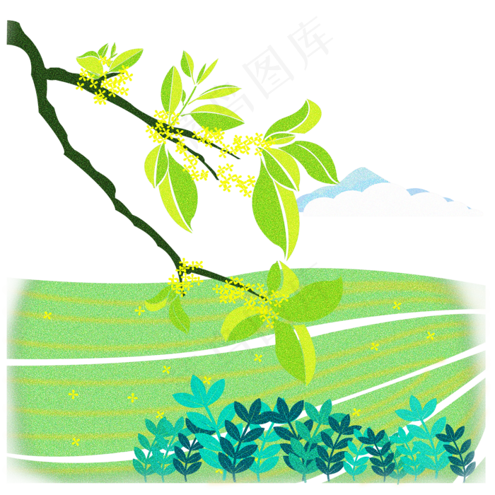 谷雨节气雨中田野