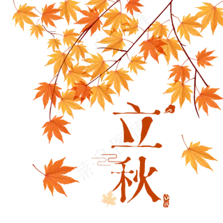 秋天枫叶立秋节气