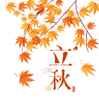 秋天枫叶立秋节气