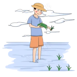 谷雨插秧的小男孩