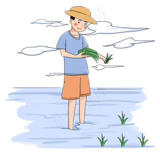 谷雨插秧的小男孩