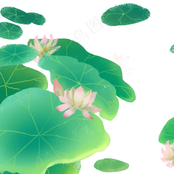 绿色的荷叶免抠图(2000*2000px 300 dpi )psd模版下载