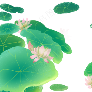 绿色的荷叶免抠图