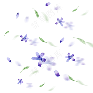 水彩手绘漂浮花瓣树叶元素