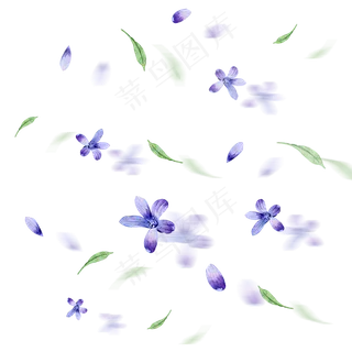 水彩手绘漂浮花瓣树叶元素
