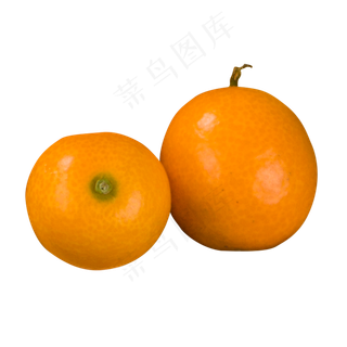 黄色圆弧橘子食物元素