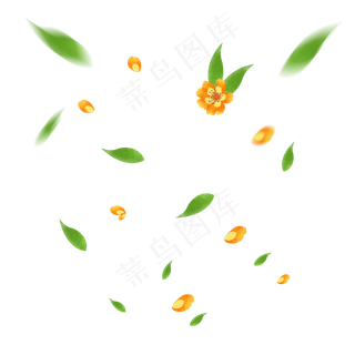 飘零的花瓣绿叶