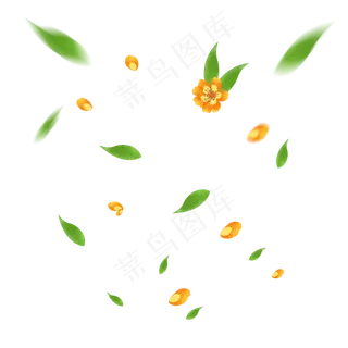 飘零的花瓣绿叶