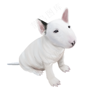 可爱宠物犬丑萌牛头梗,免抠元素