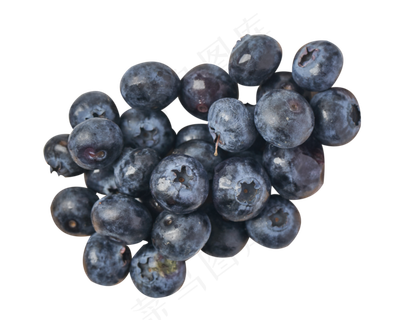 蓝莓水果