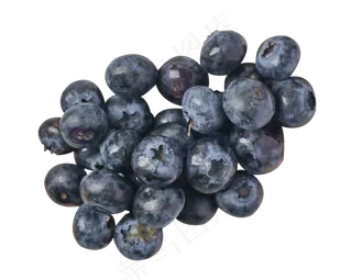 蓝莓水果