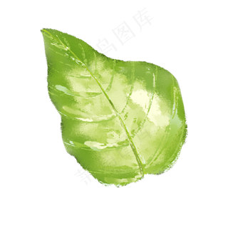 春天绿色水彩树叶