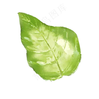春天绿色水彩树叶