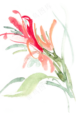 恣意盛开的花水彩画PNG免抠素材