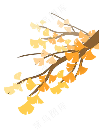 黄色渐变银杏叶