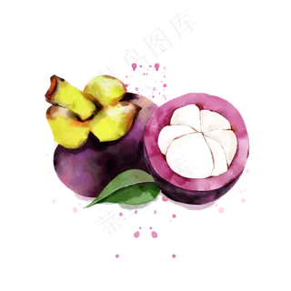 夏日夏天水果山竹水彩风免扣商用