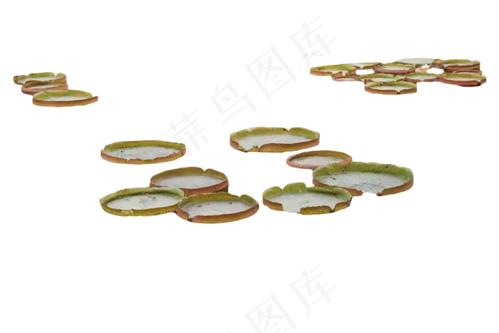 一种种植技术水生花卉(2000X1333(DPI:350))psd模版下载