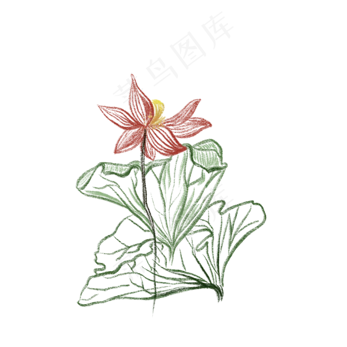 红色水墨荷花荷叶写意免抠插图(2000X2000(DPI:132))psd模版下载
