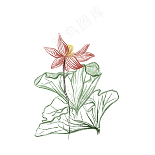 红色水墨荷花荷叶写意免抠插图