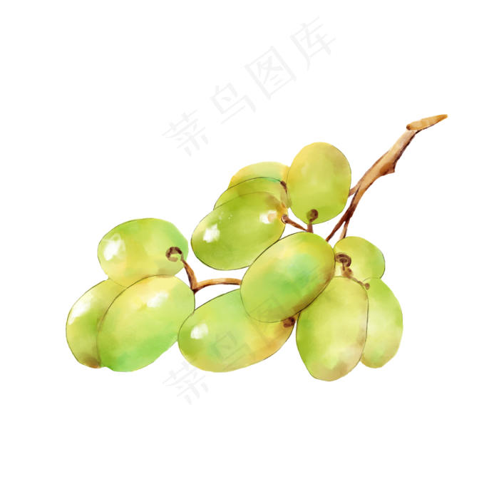 水果葡萄(2040X2040(DPI:300))psd模版下载